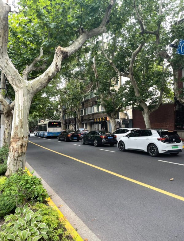 39 yongjia road,huangu distric,shanghai