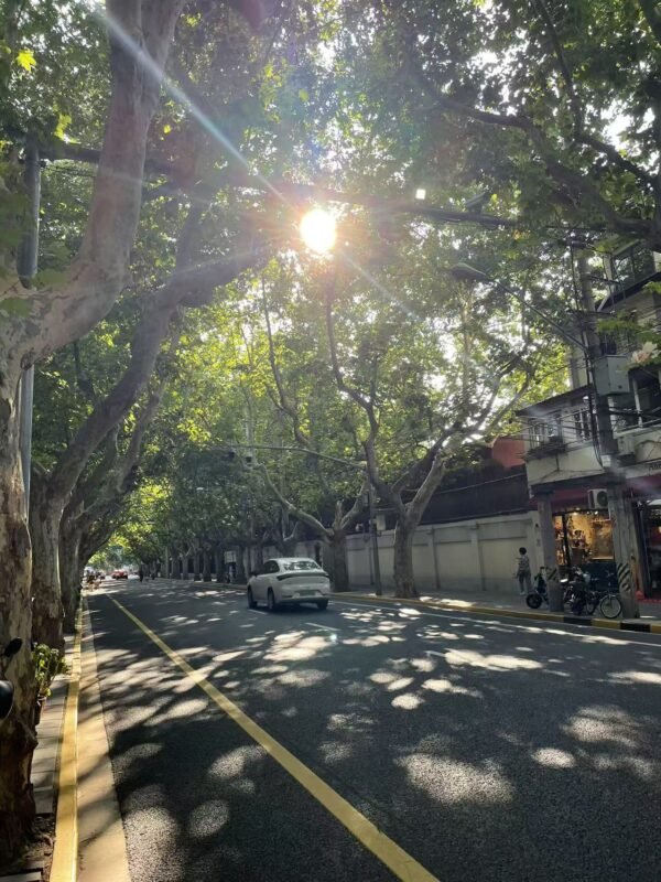 1295 middle fuxing road,xuhui distric,shanghai