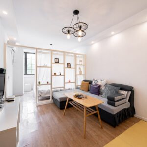 nanshan apartment,nanshan district,shenzhen